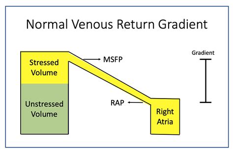 Mean Systemic Filling Pressure Optimizing Venous Return