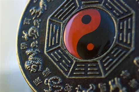 dao pictures   images  unsplash