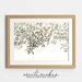 Apple Tree Branch Drawing Printable Vintage Wall Art Antique Sketch ...