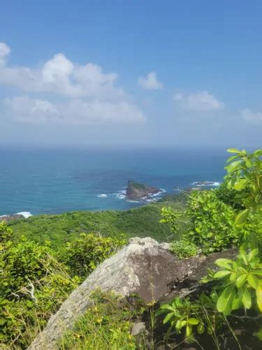 Réserve Naturelle de la presqu île de la Caravelle de beste routes om