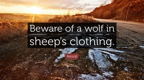 Aesop Quote Beware Of A Wolf In Sheeps Clothing” 10 Wallpapers