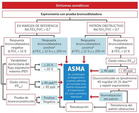 Asma En Tiempos De Pandemia Parte 1 La Importancia De Medir El Pico