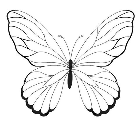 The Outline Of A Butterfly Is Shown In Black And White With Wings