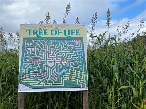 Connecticut Corn Mazes Kidtivity