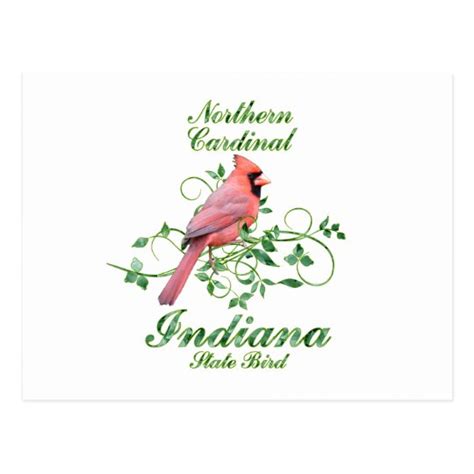 Cardinal Indiana State Bird Postcard | Zazzle.com