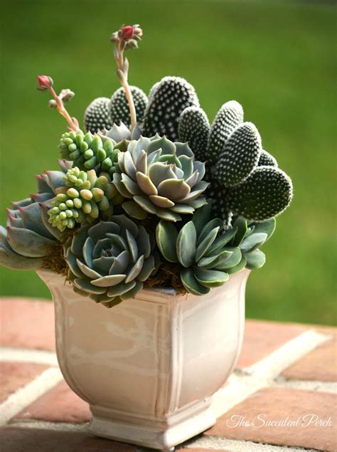 A Potted Plant Sitting On Top Of A Brick Floor Next To A Green Field