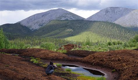 Thawing Permafrost Soils Release Mercury Polarjournal