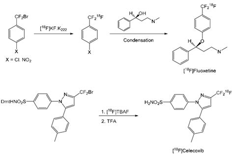 18 F Trifluoromethylations Via Halex Reactions Courtesy Of M