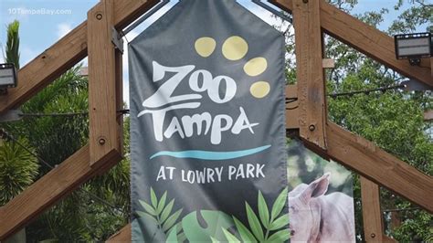 ZooTampa makes sure to keep the animals cool in Florida heat | wtsp.com