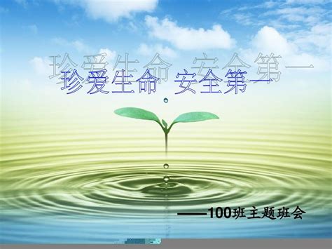 100班 珍爱生命 安全第一 主题班会word文档在线阅读与下载无忧文档