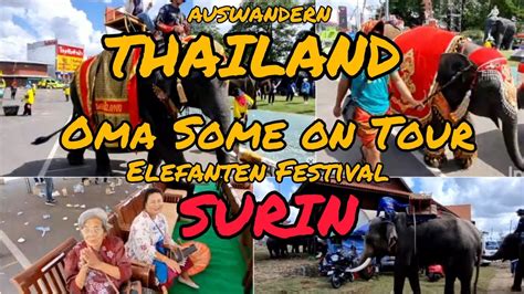 Auswandern Thailandmit Oma Some Auf Tour Elefantenfestival In Surin