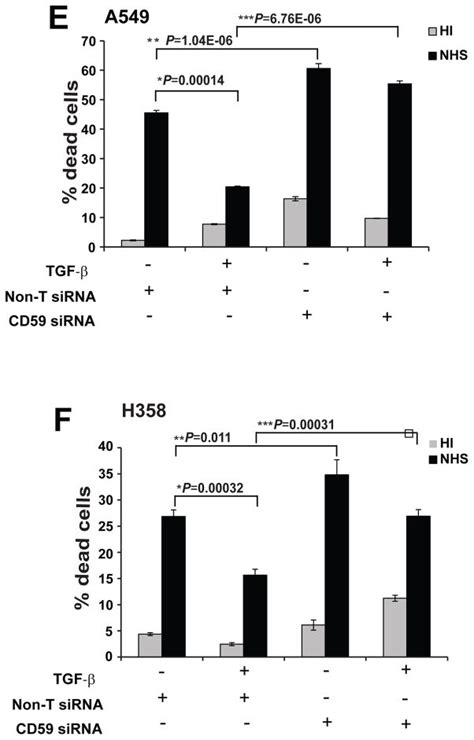 Regulation Of Complement Dependent Cytotoxicity By Tgf β Induced