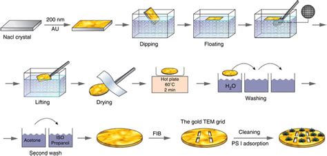 Fabrication Of The Ps I Single Microcavity Hybrid System Schematic