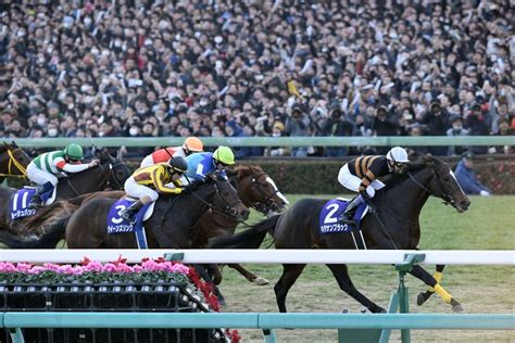 高品質の人気 2017年 第62回有馬記念 キタサンブラック 引退レース馬券2枚セット ウマ娘 Kochi Otmainjp