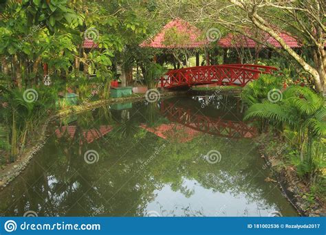 Red Bridge Across the River in the Park Stock Photo - Image of waterway, autumn: 181002536