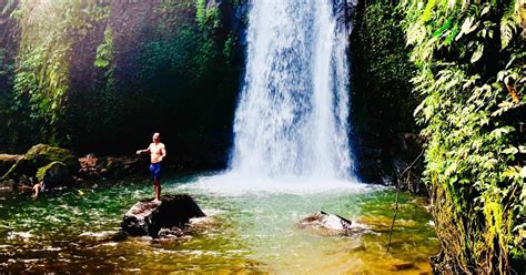 Ubud Excursi N Al Bosque De Los Monos La Cascada El Templo Y Las