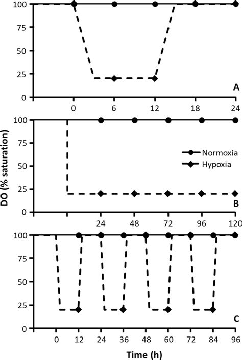 Schematic Of Dissolved Oxygen Do Saturation Regimes For The Acute