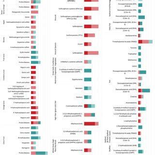 Metabolites Identified From A Fruits B Vegetables And High Fiber