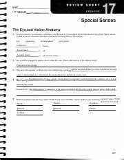 Lab Exercise The Special Senses Pdf Exercise Review Sheet The