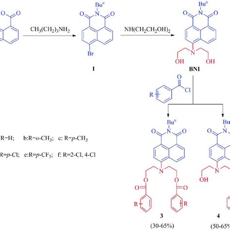 Scheme Design Of The Novel Naphthalimide Based Chemosensors