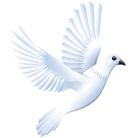 Dove Of Peace Images Birds Flying Flying Pigeon Png Images