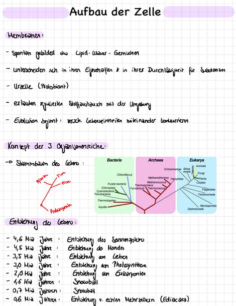 Klausur Zellbiologie Wintersemester Aufbau Der Zelle Membranen