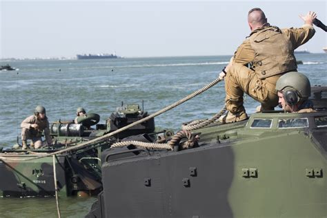 Dvids Images Th Assault Amphibian Battalion Exercise Image Of