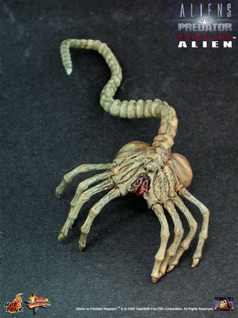Hot Toys Mms Avp R Alien Warrior Hot Toys Complete Checklist