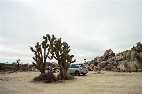 Backcountry Camping in Mojave National Preserve — Wandering Always