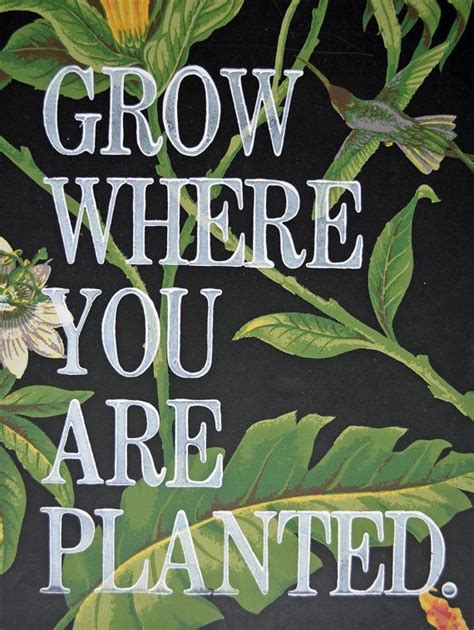 Grow Where You Are Planted Letterpress Print Etsy Letterpress