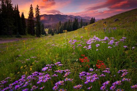 Photo Gallery: Summer in Colorado | FOX31 Denver