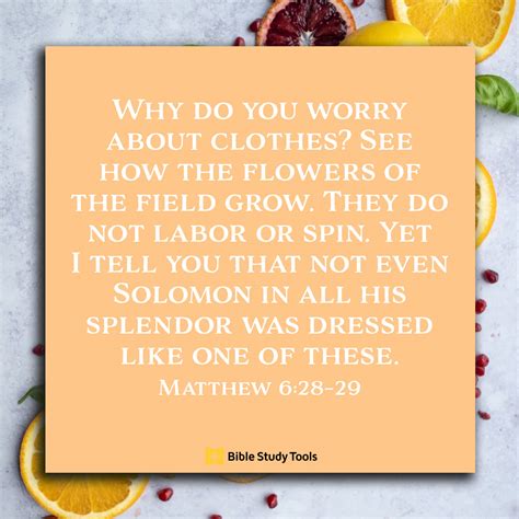 How Springtime Flowers Teach Us Matthew Your Daily Bible