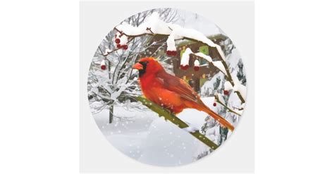 Christmas Cardinal Bird Snow Sticker Zazzle