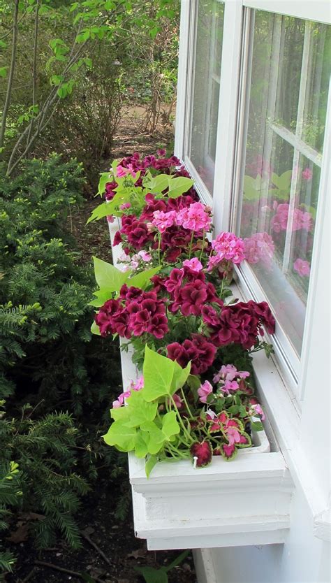 Justgrand Window Boxes