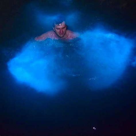 Luminous Lagoon Private Tour In Montego Bay Getyourguide