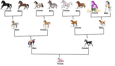 My Equine Family Tree by Alianna013 on DeviantArt