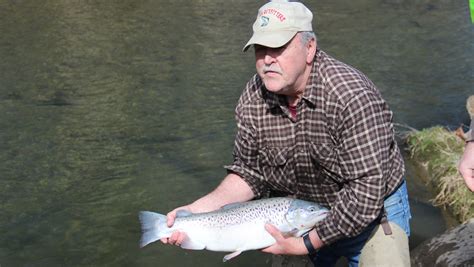 Trout Stocking Season Begins