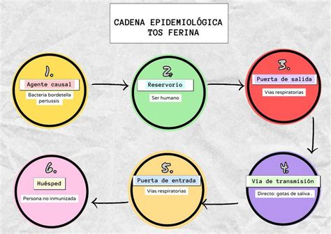 Aparte dedo Énfasis cadena epidemiologica de poliomielitis El camarero