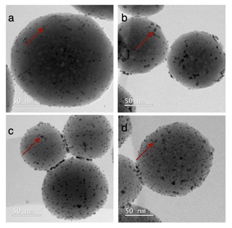 Catalysts Free Full Text Comparing The Performance Of Supported Ru Nanocatalysts Prepared By