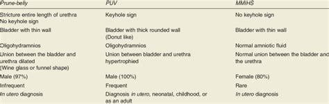 Megacystis Differential Diagnosis Download Table