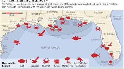 Maps Understanding The Bp Oil Spill In The Gulf Of Mexico Miami Herald