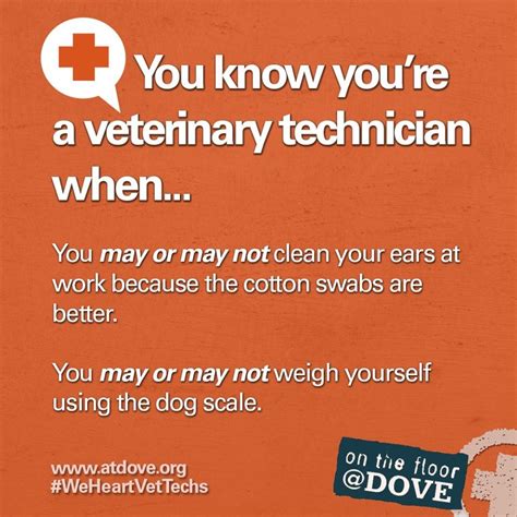 Pin By Pella Vet On Veterinary Professionals Rock Vet Tech Humor