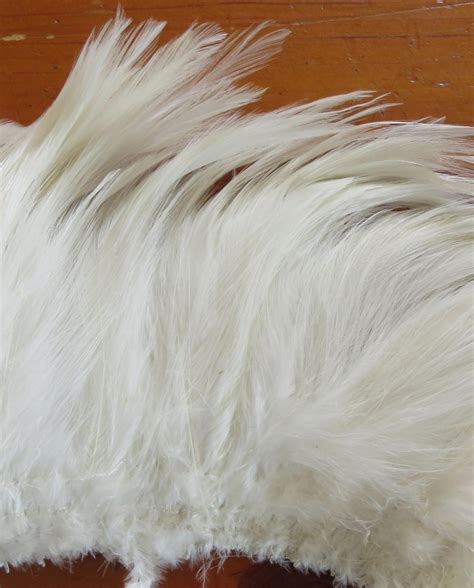 Natural White Rooster Hackle Strung Feathers Feathergirl