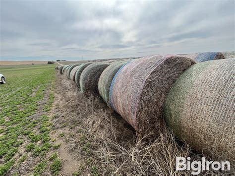 Alfalfa Round Bales Nd Cutting Bigiron Auctions