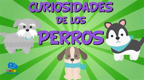 Curiosidades de los Perros Videos Educativos para Niños YouTube