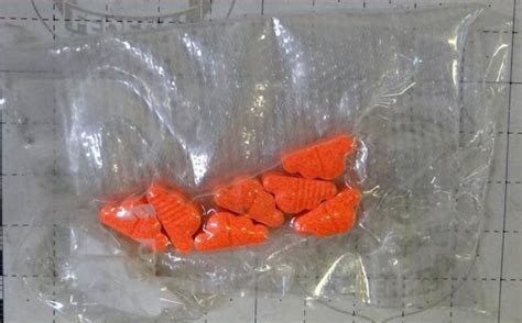 Pol Cia Federal Mira Quadrilha Que Traficava Ecstasy Pelos Correios