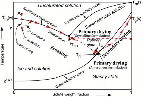 Phase Diagram Of Water [t M W Melting Or Freezing Temperature Of Download Scientific Diagram