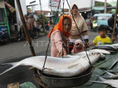 PENJUALAN BANDENG IMLEK ANTARA Foto