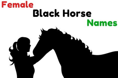 {1000+} » Black Horse Names » Amazing Names For A Black Horse