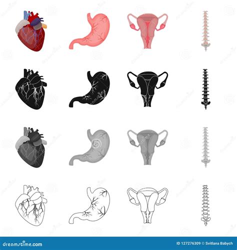 Isolated Object Of Body And Human Sign Set Of Body And Medical Stock